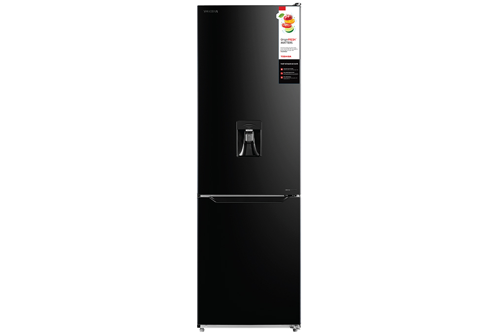 Tủ lạnh Toshiba Inverter 268 lít GR-RB345WE-PMV(30)-BS (mới 2021)