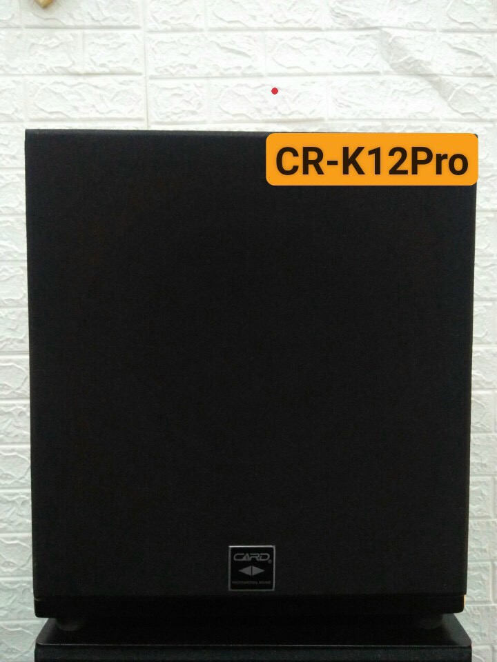 LOA SUB CARD CR-K12 PRO