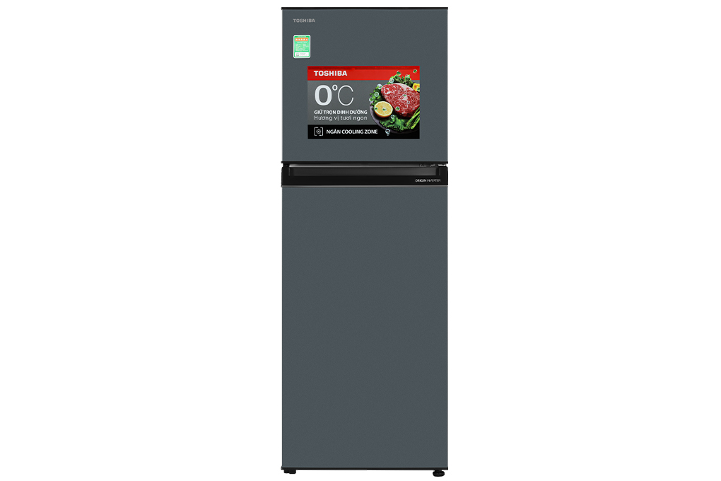 Tủ lạnh Toshiba Inverter 253 lít GR-RT329WE-PMV(52)(mới 2023)